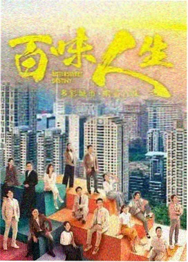 剧集雾港纪事片目封面